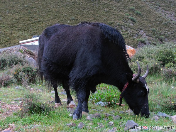 IMG_0553 (2)_nEO_IMG.jpg