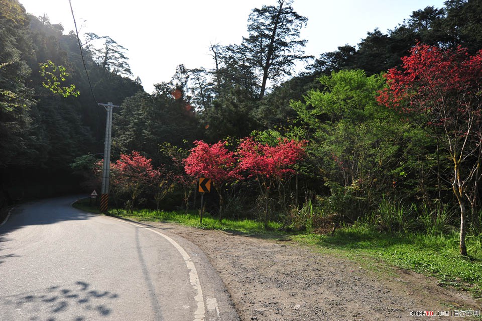 环台湾骑游,环台湾,地坎纳单车俱乐部,凯萨克