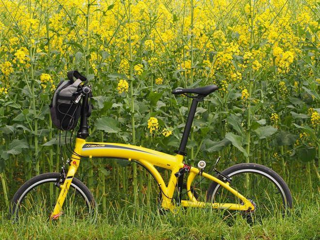 带上小折去旅行:峨嵋半山,风雨柳江之ANEMOS随拍(附安检小插曲)