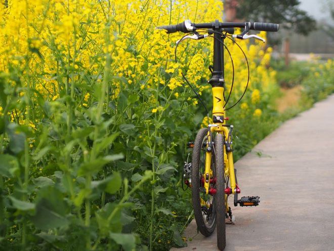 带上小折去旅行:峨嵋半山,风雨柳江之ANEMOS随拍(附安检小插曲)