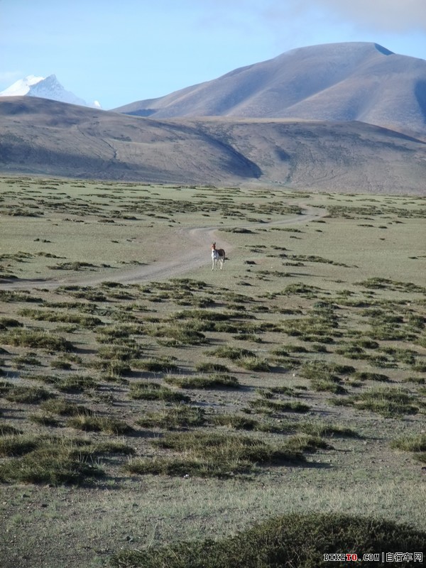 新藏线,中尼,珠峰骑行,单车旅行,末日的远征,西藏骑行,自行车旅行