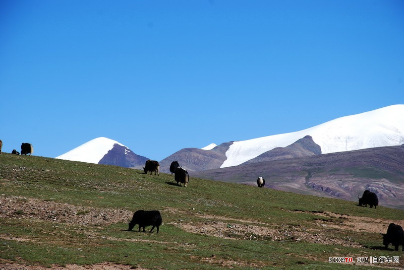 那些个兄弟以及那些风景......说说我的青藏故事