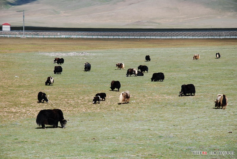 那些个兄弟以及那些风景......说说我的青藏故事