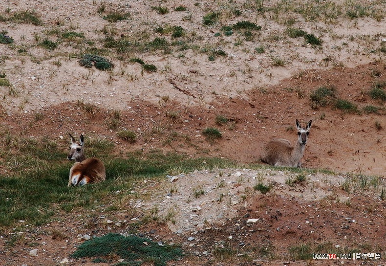 那些个兄弟以及那些风景......说说我的青藏故事