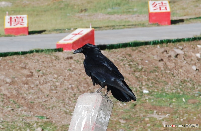 ��Щ���ֵ��Լ���Щ�羰......˵˵�ҵ���ع���