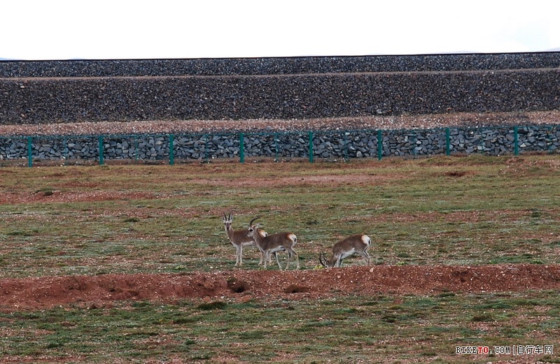 那些个兄弟以及那些风景......说说我的青藏故事