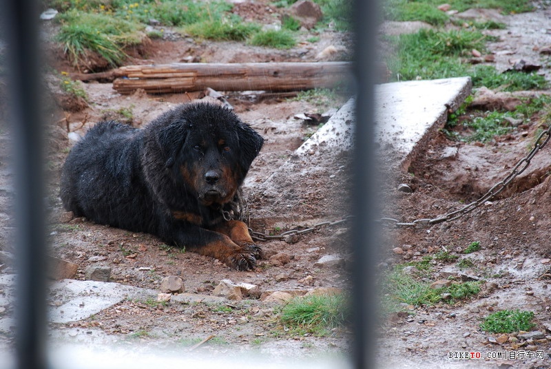 ��Щ���ֵ��Լ���Щ�羰......˵˵�ҵ���ع���