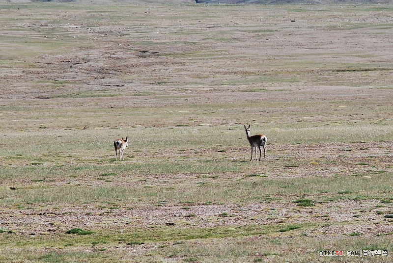 那些个兄弟以及那些风景......说说我的青藏故事