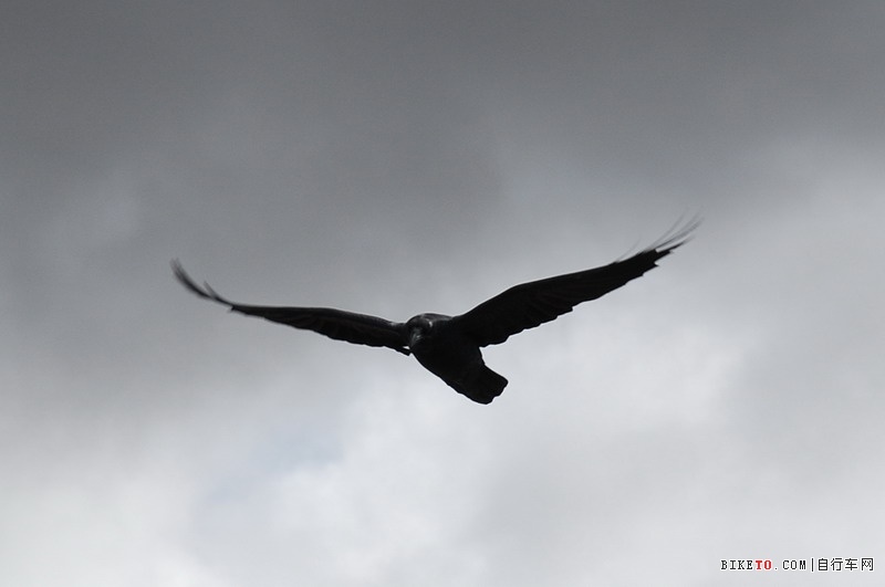 ��Щ���ֵ��Լ���Щ�羰......˵˵�ҵ���ع���