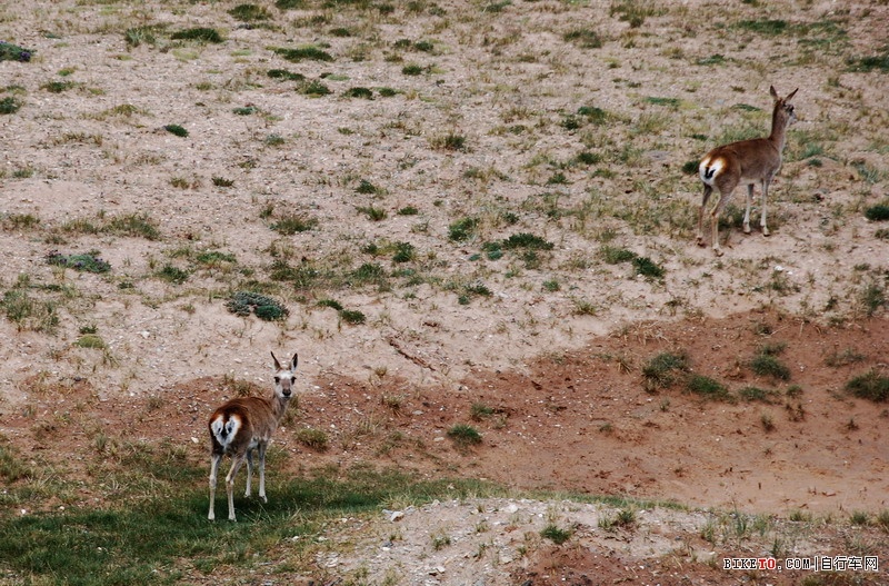 那些个兄弟以及那些风景......说说我的青藏故事