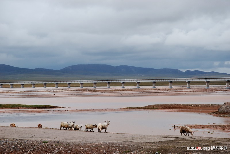 ��Щ���ֵ��Լ���Щ�羰......˵˵�ҵ���ع���