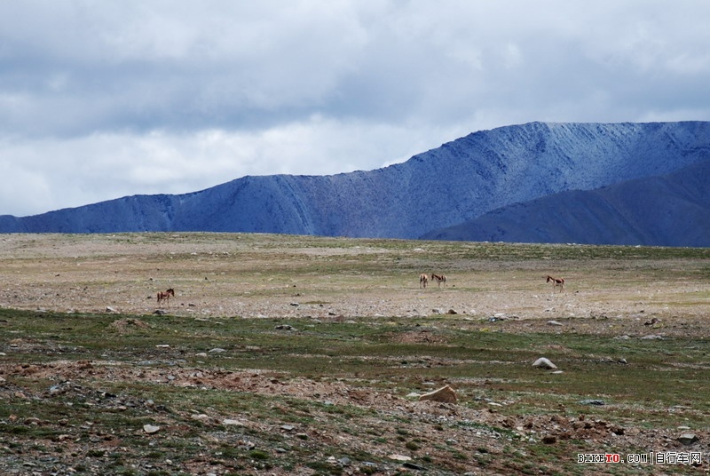 那些个兄弟以及那些风景......说说我的青藏故事