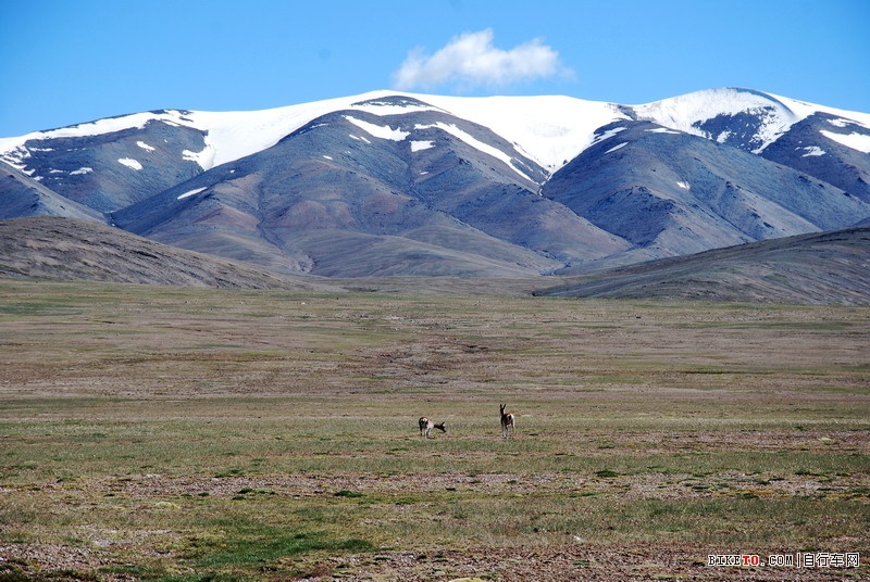 那些个兄弟以及那些风景......说说我的青藏故事