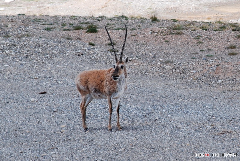 那些个兄弟以及那些风景......说说我的青藏故事