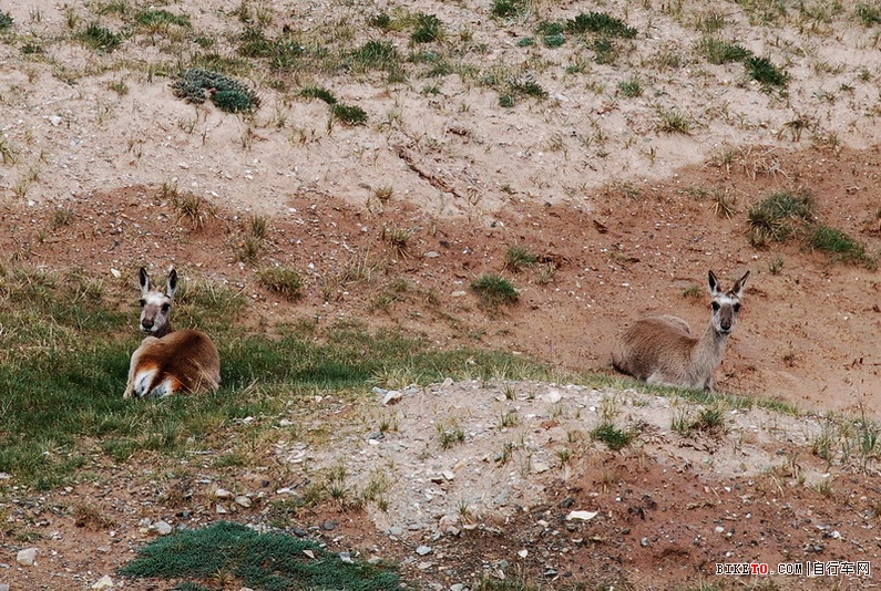 那些个兄弟以及那些风景......说说我的青藏故事
