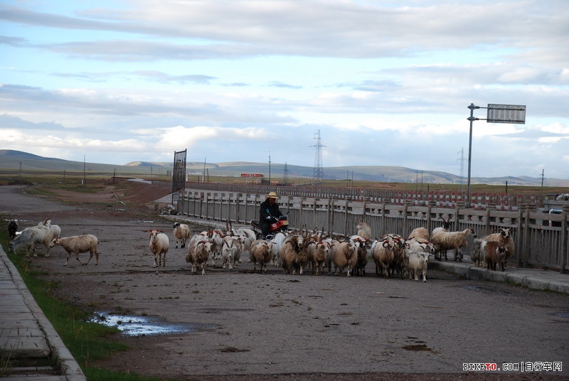 ��Щ���ֵ��Լ���Щ�羰......˵˵�ҵ���ع���