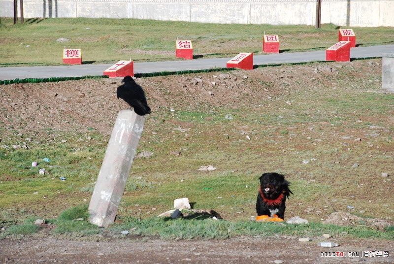 ��Щ���ֵ��Լ���Щ�羰......˵˵�ҵ���ع���