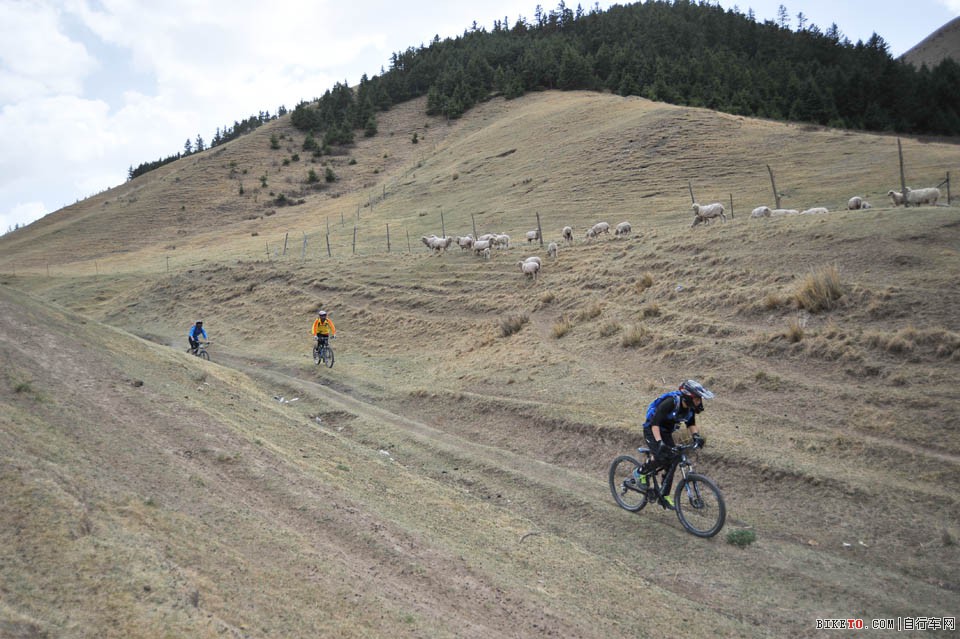山地穿越骑行活动之AM穿越康乐草原