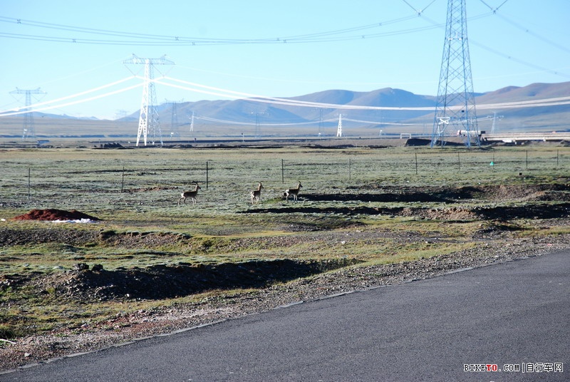那些个兄弟以及那些风景......说说我的青藏故事
