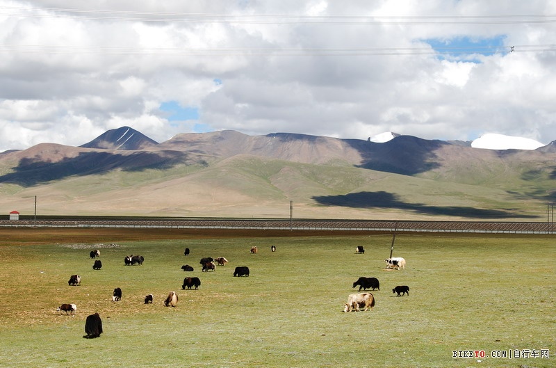 ��Щ���ֵ��Լ���Щ�羰......˵˵�ҵ���ع���