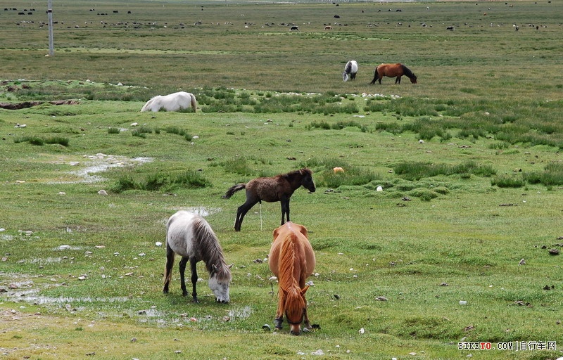 ��Щ���ֵ��Լ���Щ�羰......˵˵�ҵ���ع���