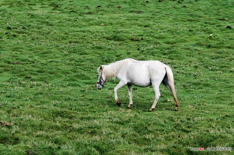 那些个兄弟以及那些风景......说说我的青藏故事