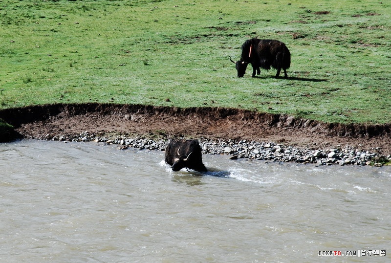 那些个兄弟以及那些风景......说说我的青藏故事