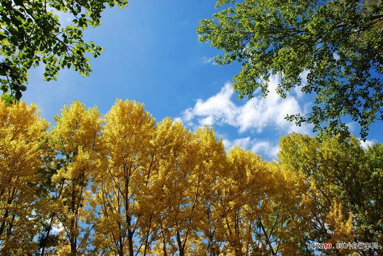 那些个兄弟以及那些风景......说说我的青藏故事