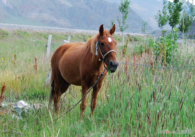 那些个兄弟以及那些风景......说说我的青藏故事