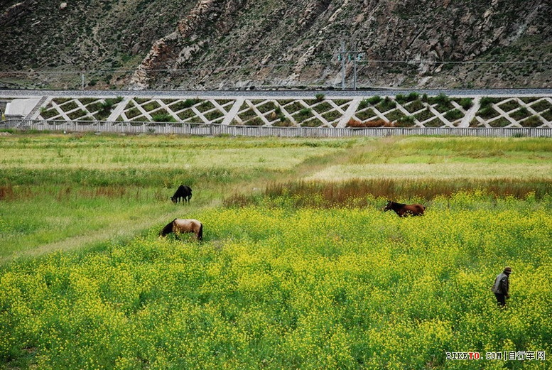 那些个兄弟以及那些风景......说说我的青藏故事