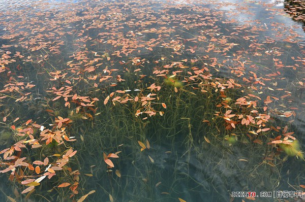 骑行川滇,徒步雨崩,车友游记,自行车旅行游记,骑行游记
