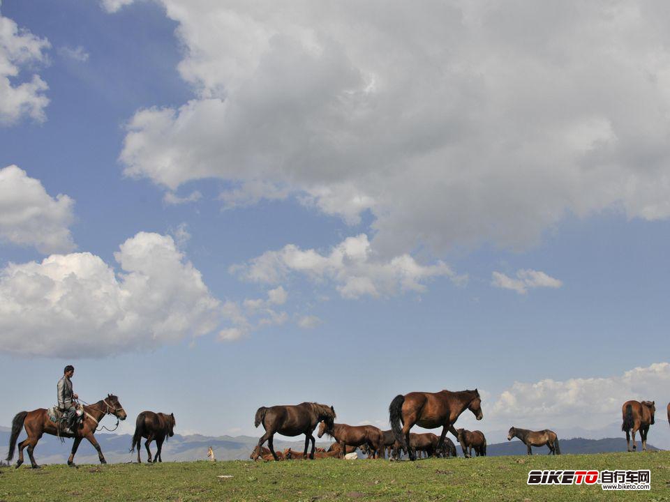 大美新疆骑行活动 -- FOCUS焦点单车俱乐部