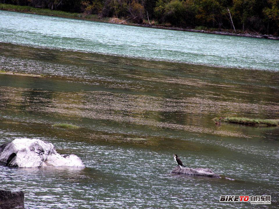 大美新疆骑行活动 -- FOCUS焦点单车俱乐部