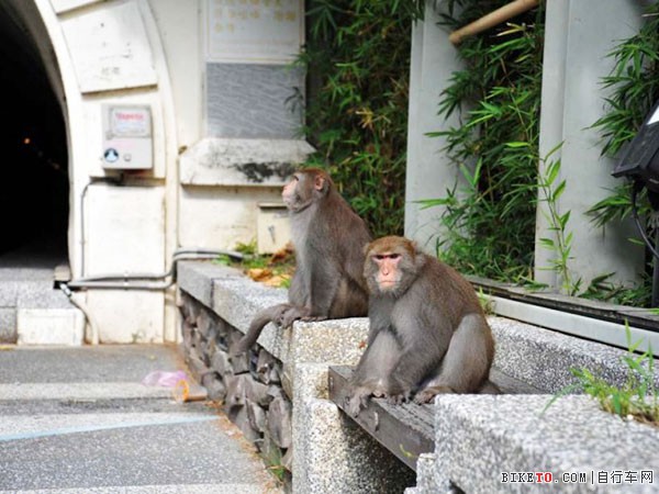 [̨�廷���μ�]����ƪ����