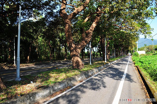 [̨�廷���μ�]շת�ٳ�����������ƪ����