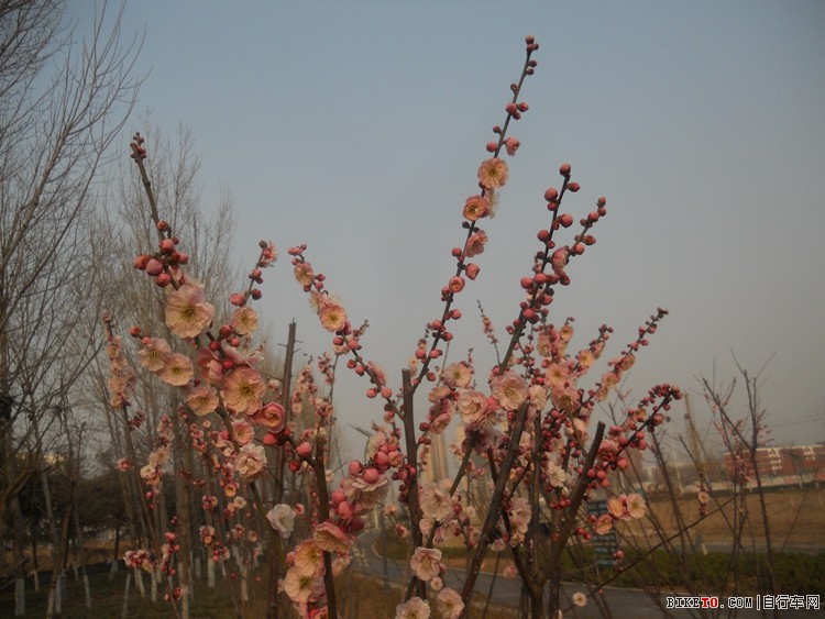 �紺�����������Զ������г��̵�