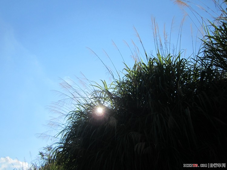 ׷Ѱ�����㼣