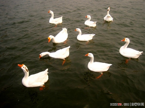 休闲骑游兰村 休闲骑游兰村