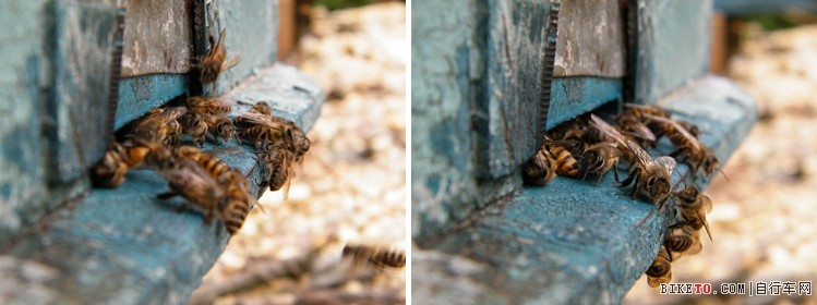 NeoImage_副本3.jpg NeoImage_副本3.jpg