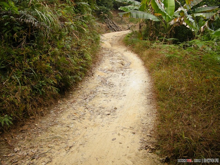 肇庆鼎湖坳头岭“农家大锅饭” 肇庆鼎湖坳头岭“农家大锅饭”