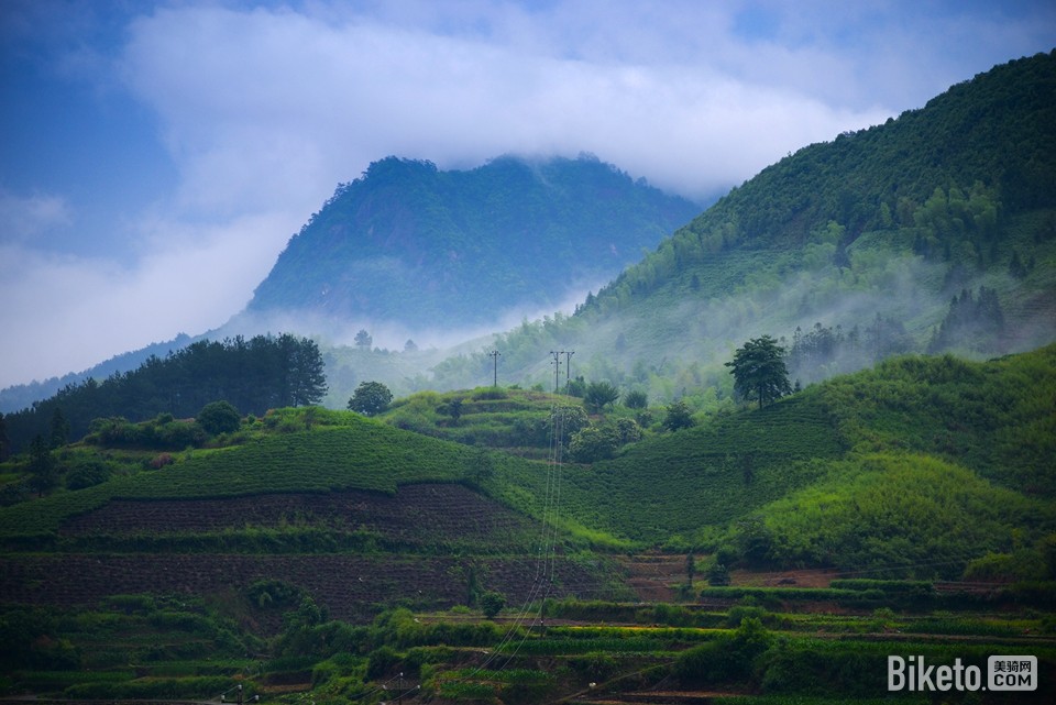 枫树岭大雨 枫树岭大雨