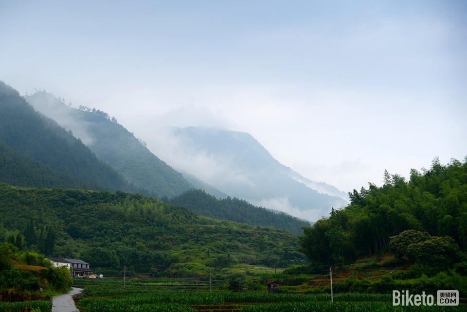 狮象把门 狮象把门