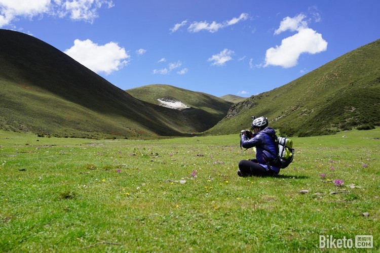 下山路上的草原 下山路上的草原
