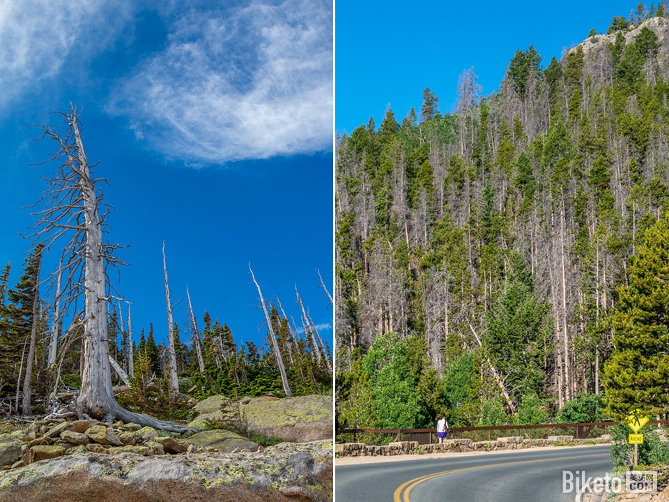 路边风光 路边风光