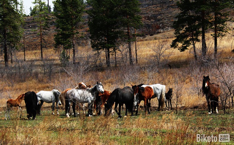 ����·�Ͽ���һȺ���