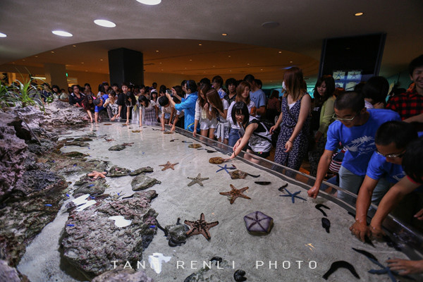 �������ձ����μ�