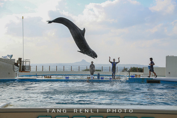 �������ձ����μ�