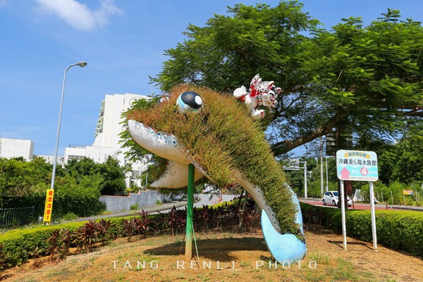 �������ձ����μ�