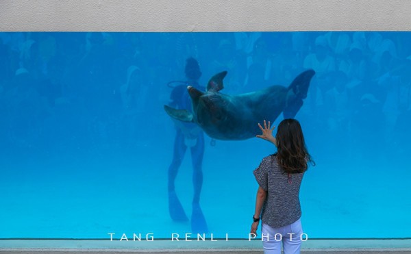 �������ձ����μ�