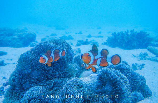 唐人立日本骑游记 唐人立日本骑游记